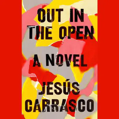 Out in the Open: A Novel Audibook, by Jesús Carrasco