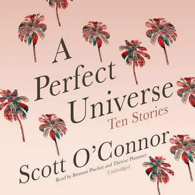 A Perfect Universe: Ten Stories Audibook, by Scott O’Connor