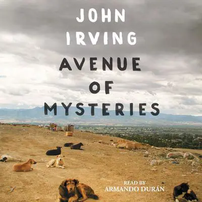 Avenue of Mysteries Audibook, by John Irving