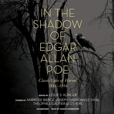 In the Shadow of Edgar Allan Poe: Classic Tales of Horror, 1816–1914 Audibook, by Leslie S. Klinger