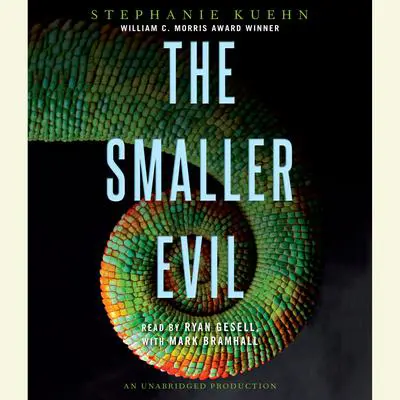 The Smaller Evil Audibook, by Stephanie Kuehn