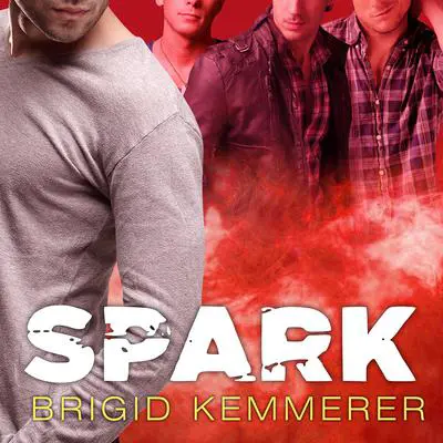 Spark Audibook, by Brigid Kemmerer