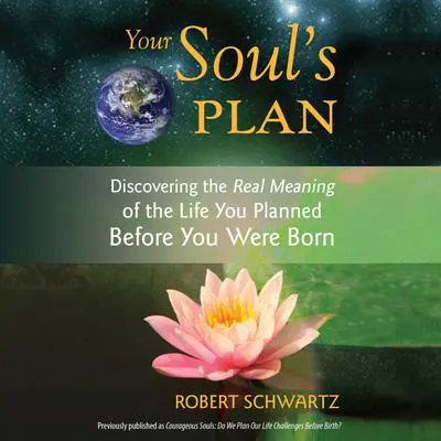 Your Soul's Plan: Discovering the Real Meaning of the Life You Planned Before You Were Born Audibook, by Robert Schwartz