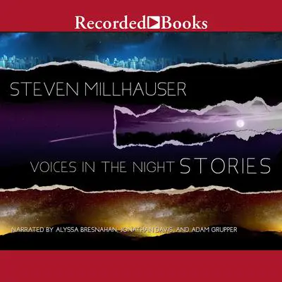 Voices in the Night: Stories Audibook, by Steven Millhauser