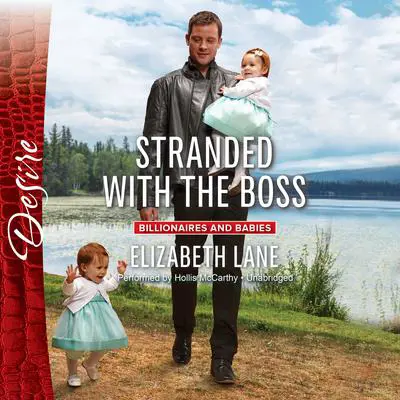 Stranded with the Boss Audibook, by Elizabeth Lane