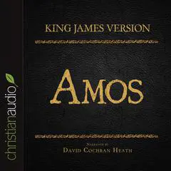 Holy Bible in Audio - King James Version: Amos Audibook, by David Cochran Heath