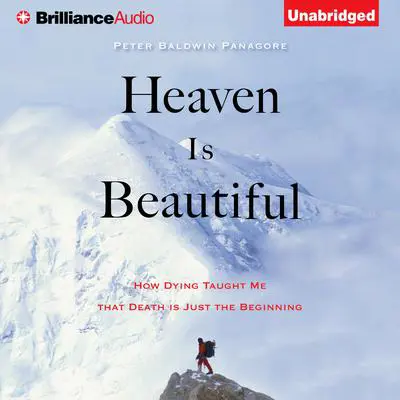 Heaven Is Beautiful: How Dying Taught Me That Death Is Just the Beginning Audibook, by Peter Baldwin Panagore