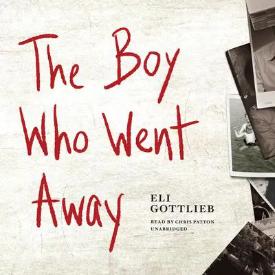 The Boy Who Went Away: A Novel Audibook, by Eli Gottlieb