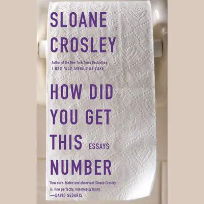 How Did You Get This Number Audibook, by Sloane Crosley