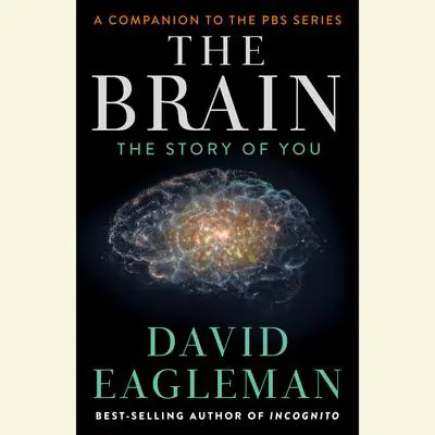 The Brain: The Story of You Audibook, by David Eagleman