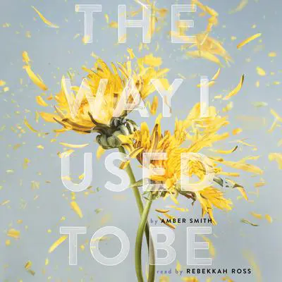 The Way I Used to Be Audibook, by Amber Smith