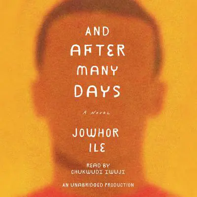 And After Many Days: A Novel Audibook, by Jowhor Ile