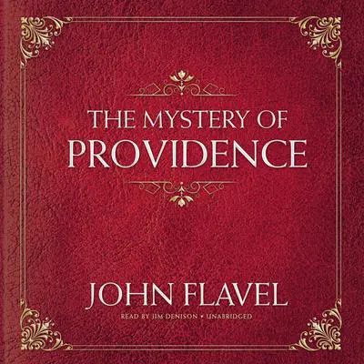 The Mystery of Providence Audibook, by John Flavel