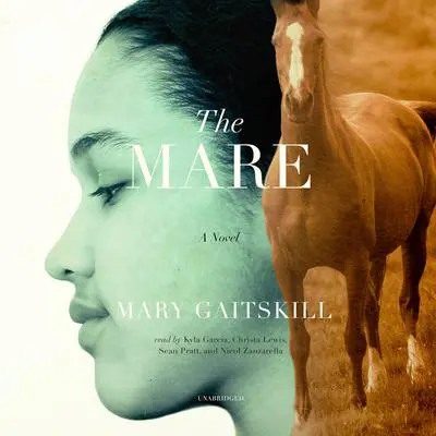 The Mare Audibook, by Mary Gaitskill