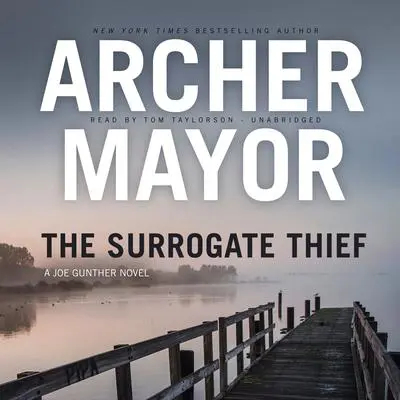 The Surrogate Thief Audibook, by Archer Mayor