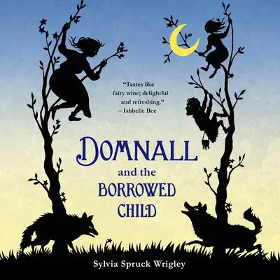 Domnall and the Borrowed Child Audibook, by Sylvia Spruck Wrigley