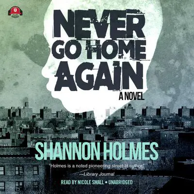 Never Go Home Again Audibook, by Shannon Holmes