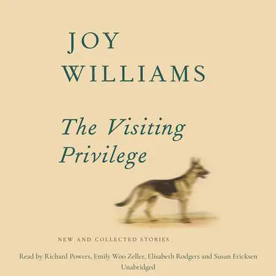 The Visiting Privilege: New and Collected Stories Audibook, by Joy Williams
