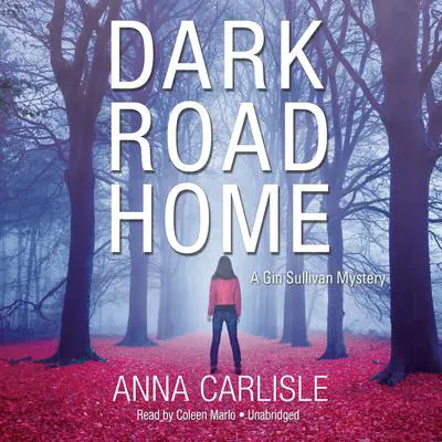 Dark Road Home: A Gin Sullivan Mystery Audibook, by Anna  Carlisle