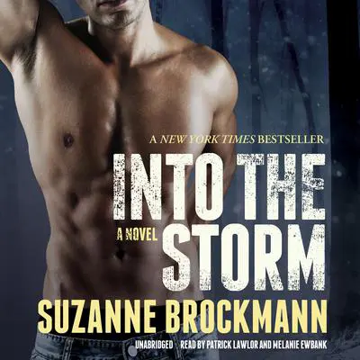 Into the Storm: A Novel Audibook, by Suzanne Brockmann