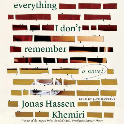 Everything I Don't Remember: A Novel Audibook, by Jonas Hassen Khemiri
