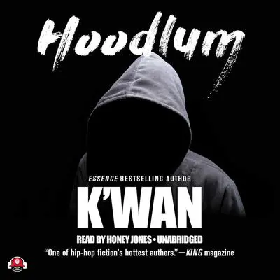 Hoodlum Audibook, by K’wan