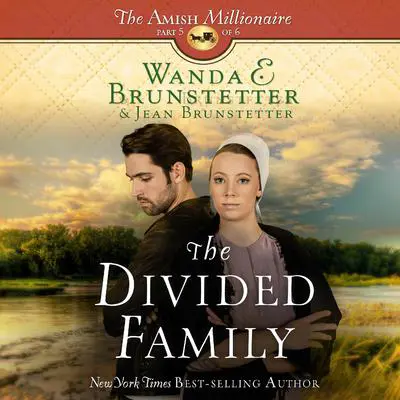 The Divided Family Audibook, by Wanda E. Brunstetter