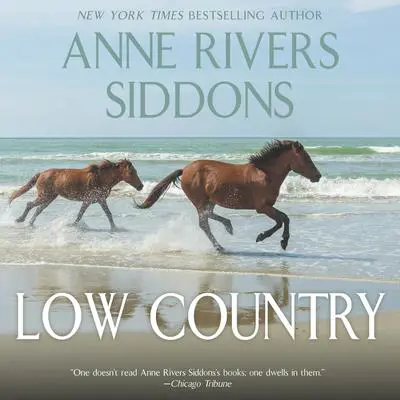 Low Country: A Novel Audibook, by Anne Rivers Siddons
