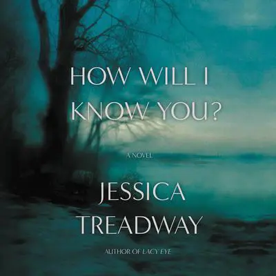How Will I Know You?: A Novel Audibook, by Jessica Treadway