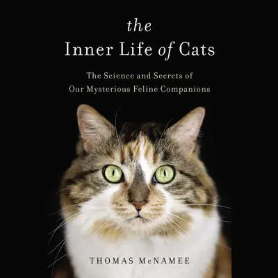 The Inner Life of Cats: The Science and Secrets of Our Mysterious Feline Companions Audibook, by Thomas McNamee