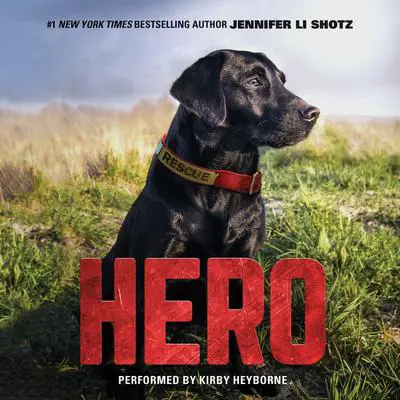 Hero Audibook, by Jennifer Li Shotz