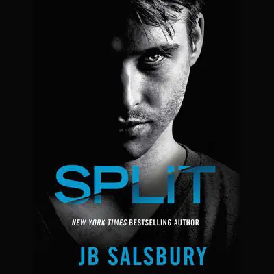Split Audibook, by JB Salsbury