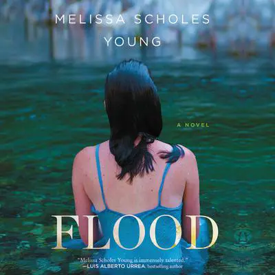 Flood: A Novel Audibook, by Melissa Scholes Young
