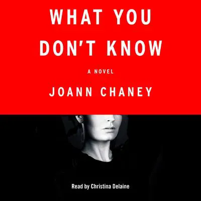 What You Don't Know: A Novel Audibook, by JoAnn Chaney