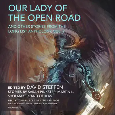 Our Lady of the Open Road, and Other Stories from the Long List Anthology, Vol. 2 Audibook, by Sarah Pinkster