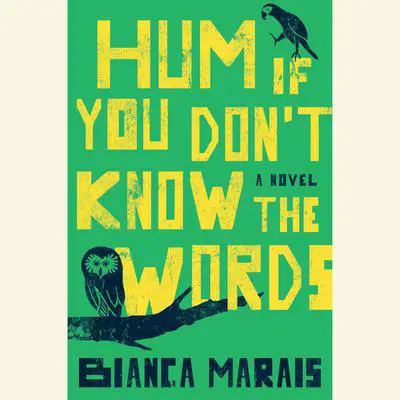 Hum If You Don't Know the Words Audibook, by Bianca Marais