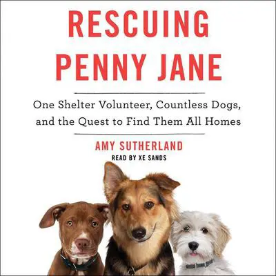 Rescuing Penny Jane: One Shelter Volunteer, Countless Dogs, and the Quest to Find Them All Homes Audibook, by Amy Sutherland