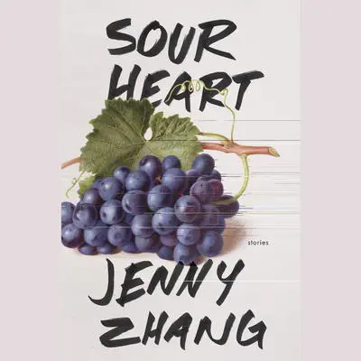 Sour Heart: Stories Audibook, by Jenny Zhang