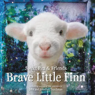 Brave Little Finn Audibook, by Jennifer Churchman