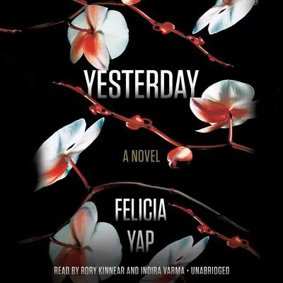 Yesterday Audibook, by Felicia Yap