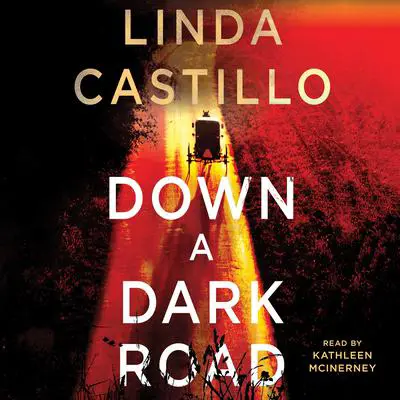 Down a Dark Road: A Kate Burkholder Novel Audibook, by Linda Castillo