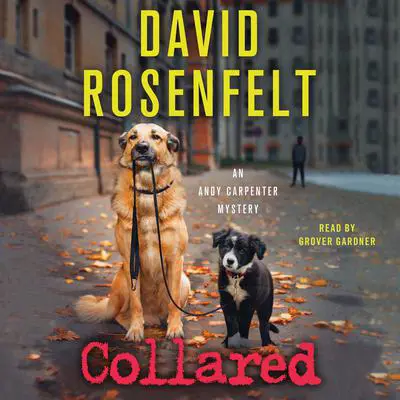 Collared Audibook, by David Rosenfelt
