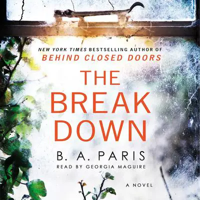 The Breakdown: A Novel Audibook, by B. A. Paris