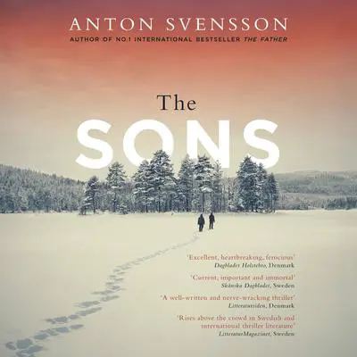The Sons: Made in Sweden, Part II Audibook, by Anton Svensson