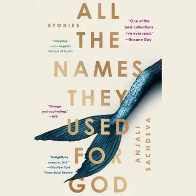 All the Names They Used for God: Stories Audibook, by Anjali Sachdeva