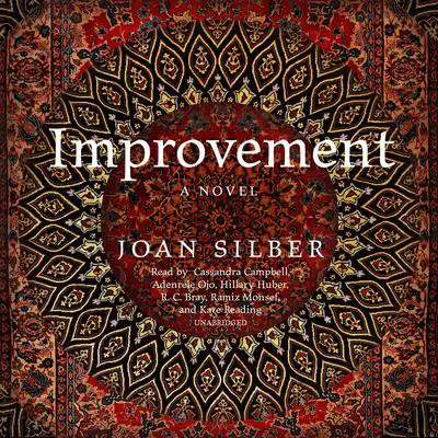 Improvement Audibook, by Joan Silber