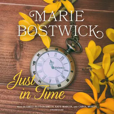 Just in Time Audibook, by Marie Bostwick