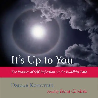 It's Up to You: The Practice of Self-Reflection on the Buddhist Path Audibook, by Dzigar Kongtrül
