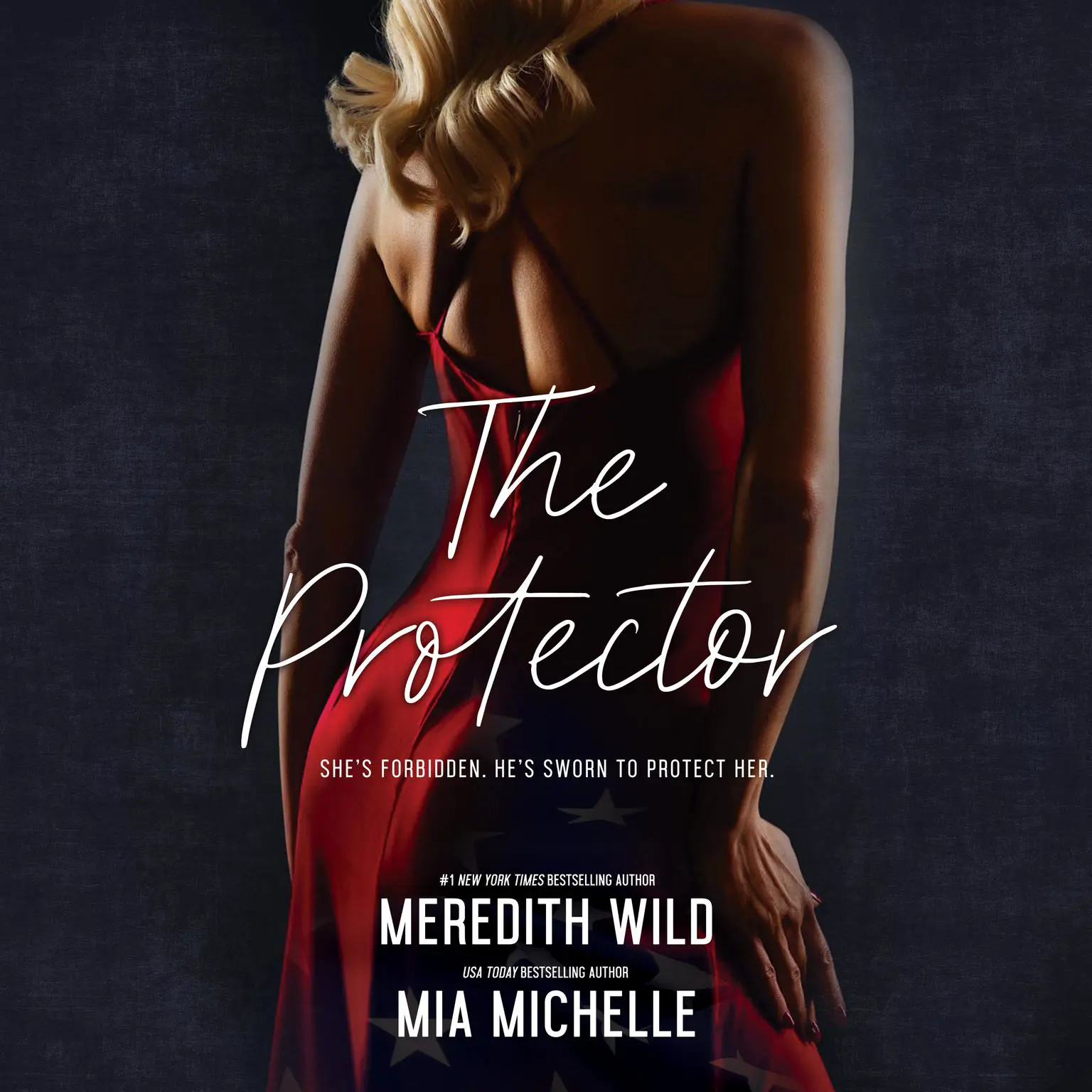 The Protector Audiobook, by Meredith Wild