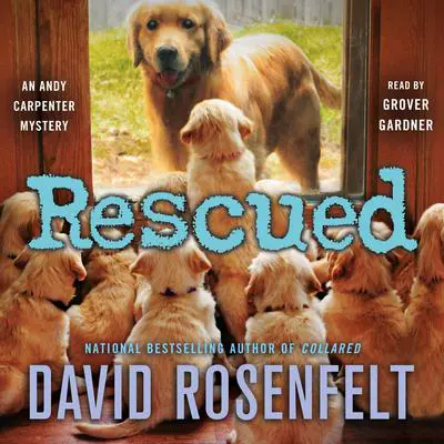 Rescued Audibook, by David Rosenfelt